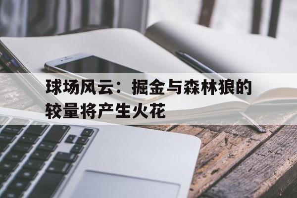 掘金森林狼数据统计